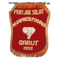 Description for Image 3